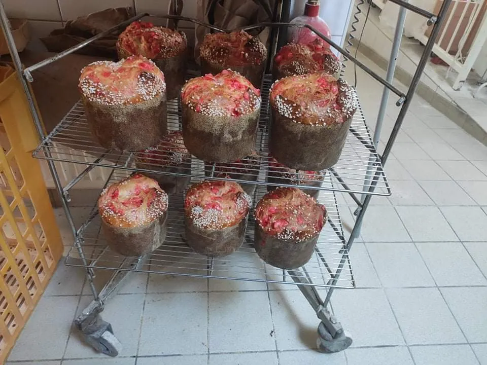 Brioche Aux Pralines Roses